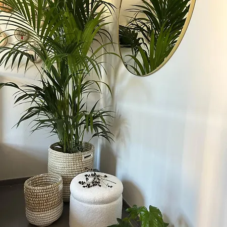 Le Di Torto Apartment