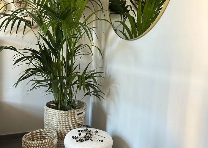 Le Di Torto Apartment